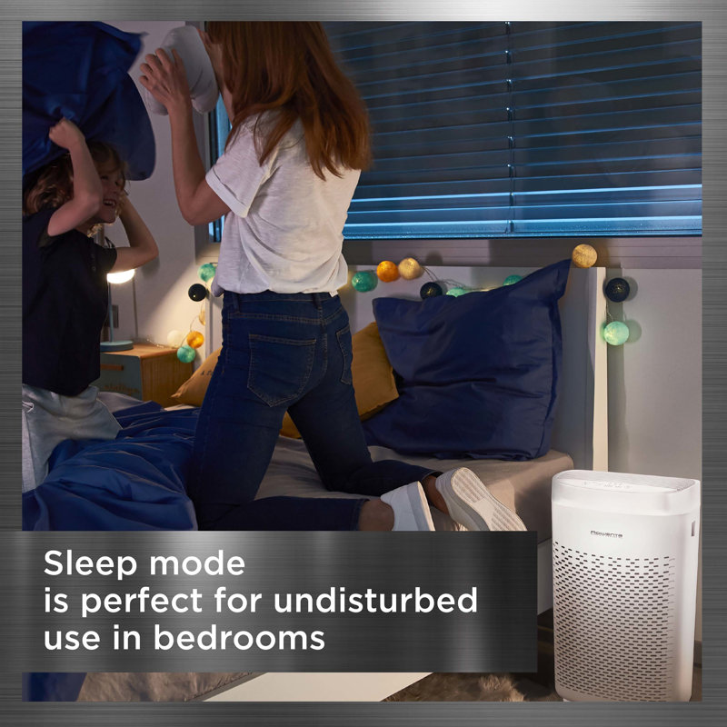 Rowenta Air Purifier with HEPA Filter Wayfair